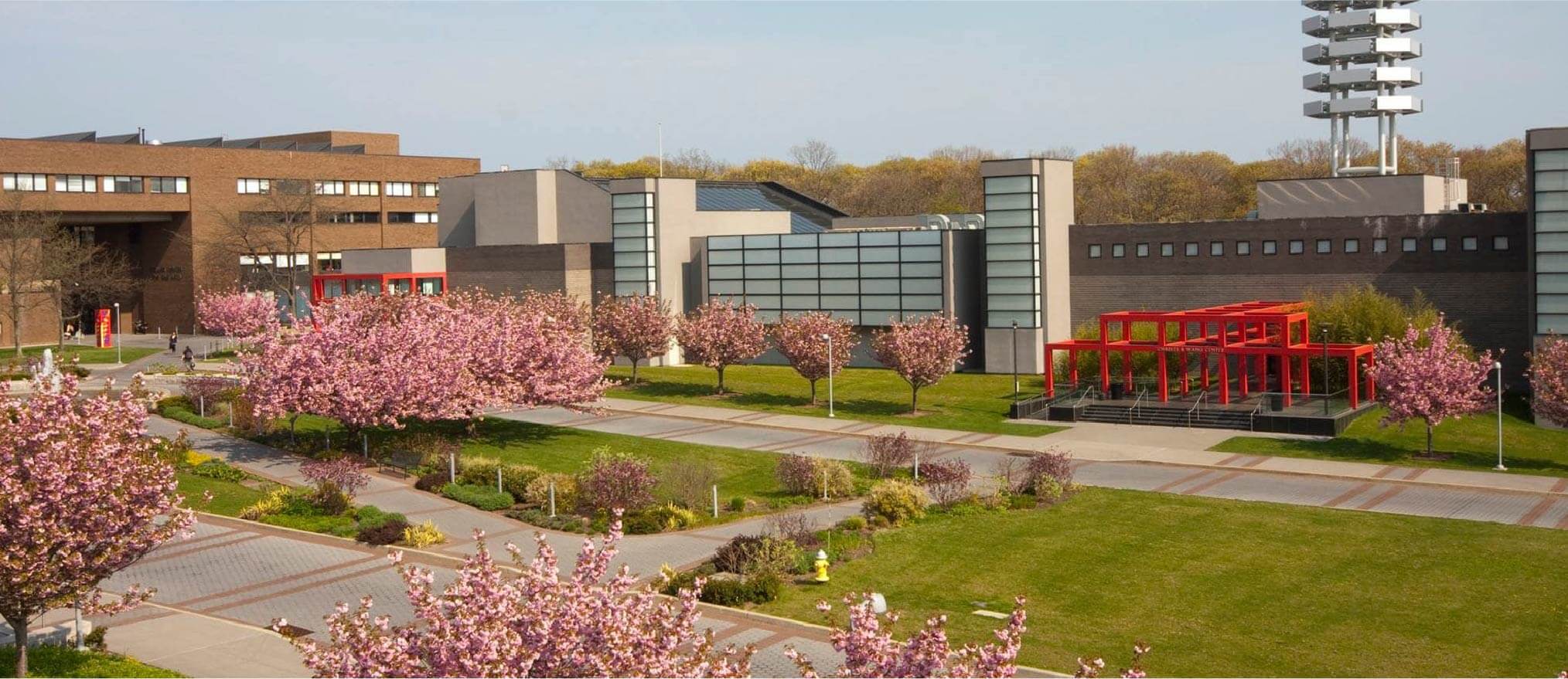 Scholarship Image